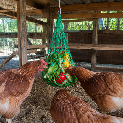 Chicken Treat & Vegetable Hanging Nets