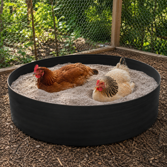 Premium Chicken Dust Bath Tub