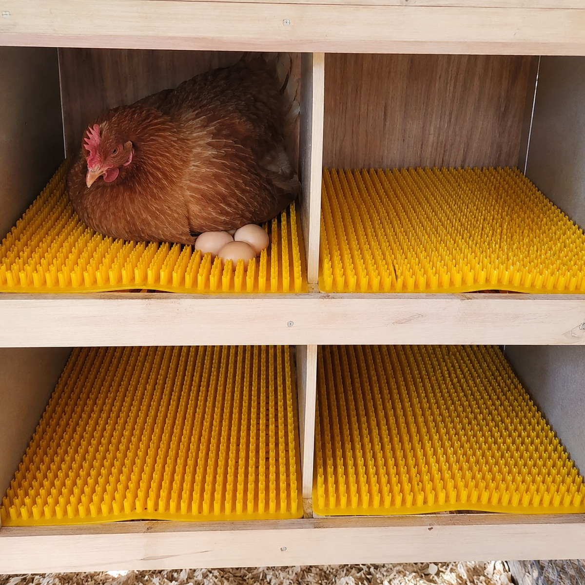 Washable Chicken Nesting Pads
