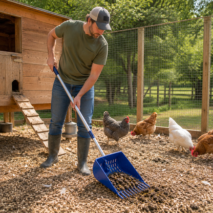 Clean Coop Rake & Shovel