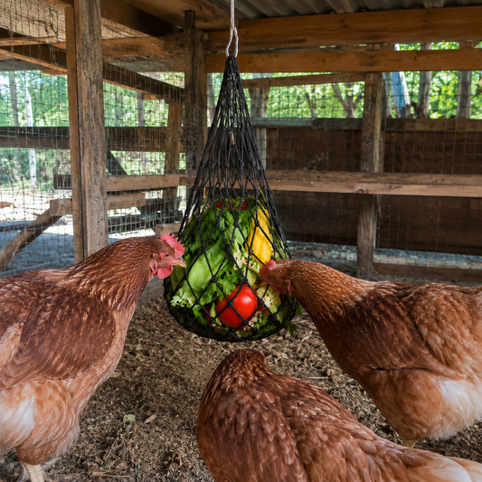 Chicken Treat & Vegetable Hanging Nets